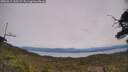 ./images/calvert/fitz-hugh-hecate/20250615/fitz-hugh-hecate20250615_135507M.jpg