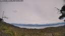 ./images/calvert/fitz-hugh-hecate/20250615/fitz-hugh-hecate20250615_140011M.jpg