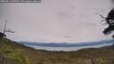 ./images/calvert/fitz-hugh-hecate/20250615/fitz-hugh-hecate20250615_141011M.jpg
