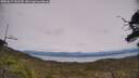 ./images/calvert/fitz-hugh-hecate/20250615/fitz-hugh-hecate20250615_141510M.jpg