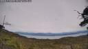 ./images/calvert/fitz-hugh-hecate/20250615/fitz-hugh-hecate20250615_142510M.jpg