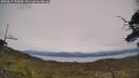 ./images/calvert/fitz-hugh-hecate/20250615/fitz-hugh-hecate20250615_144010M.jpg