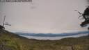 ./images/calvert/fitz-hugh-hecate/20250615/fitz-hugh-hecate20250615_144510M.jpg