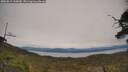 ./images/calvert/fitz-hugh-hecate/20250615/fitz-hugh-hecate20250615_145009M.jpg