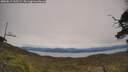 ./images/calvert/fitz-hugh-hecate/20250615/fitz-hugh-hecate20250615_145509M.jpg