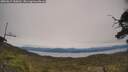 ./images/calvert/fitz-hugh-hecate/20250615/fitz-hugh-hecate20250615_150012M.jpg