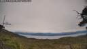 ./images/calvert/fitz-hugh-hecate/20250615/fitz-hugh-hecate20250615_150510M.jpg