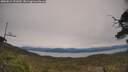 ./images/calvert/fitz-hugh-hecate/20250615/fitz-hugh-hecate20250615_151010M.jpg