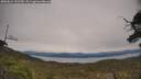 ./images/calvert/fitz-hugh-hecate/20250615/fitz-hugh-hecate20250615_151510M.jpg