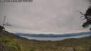 ./images/calvert/fitz-hugh-hecate/20250615/fitz-hugh-hecate20250615_152507M.jpg