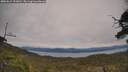 ./images/calvert/fitz-hugh-hecate/20250615/fitz-hugh-hecate20250615_153010M.jpg