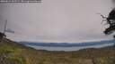 ./images/calvert/fitz-hugh-hecate/20250615/fitz-hugh-hecate20250615_153509M.jpg