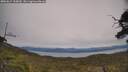 ./images/calvert/fitz-hugh-hecate/20250615/fitz-hugh-hecate20250615_154010M.jpg