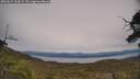 ./images/calvert/fitz-hugh-hecate/20250615/fitz-hugh-hecate20250615_154509M.jpg