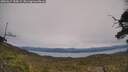 ./images/calvert/fitz-hugh-hecate/20250615/fitz-hugh-hecate20250615_155009M.jpg