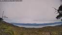 ./images/calvert/fitz-hugh-hecate/20250615/fitz-hugh-hecate20250615_155510M.jpg