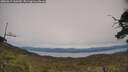 ./images/calvert/fitz-hugh-hecate/20250615/fitz-hugh-hecate20250615_160510M.jpg