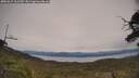 ./images/calvert/fitz-hugh-hecate/20250615/fitz-hugh-hecate20250615_161510M.jpg