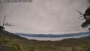 ./images/calvert/fitz-hugh-hecate/20250615/fitz-hugh-hecate20250615_162511M.jpg