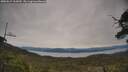 ./images/calvert/fitz-hugh-hecate/20250615/fitz-hugh-hecate20250615_163010M.jpg
