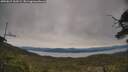 ./images/calvert/fitz-hugh-hecate/20250615/fitz-hugh-hecate20250615_163509M.jpg