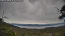 ./images/calvert/fitz-hugh-hecate/20250615/fitz-hugh-hecate20250615_164010M.jpg