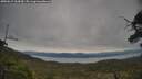 ./images/calvert/fitz-hugh-hecate/20250615/fitz-hugh-hecate20250615_164510M.jpg