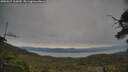./images/calvert/fitz-hugh-hecate/20250615/fitz-hugh-hecate20250615_165010M.jpg