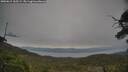 ./images/calvert/fitz-hugh-hecate/20250615/fitz-hugh-hecate20250615_165508M.jpg