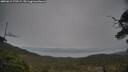 ./images/calvert/fitz-hugh-hecate/20250615/fitz-hugh-hecate20250615_170509M.jpg