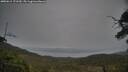 ./images/calvert/fitz-hugh-hecate/20250615/fitz-hugh-hecate20250615_171509M.jpg