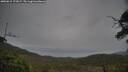./images/calvert/fitz-hugh-hecate/20250615/fitz-hugh-hecate20250615_172007M.jpg
