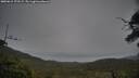 ./images/calvert/fitz-hugh-hecate/20250615/fitz-hugh-hecate20250615_172509M.jpg