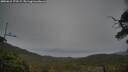 ./images/calvert/fitz-hugh-hecate/20250615/fitz-hugh-hecate20250615_173509M.jpg