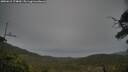 ./images/calvert/fitz-hugh-hecate/20250615/fitz-hugh-hecate20250615_174010M.jpg