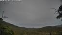 ./images/calvert/fitz-hugh-hecate/20250615/fitz-hugh-hecate20250615_174511M.jpg