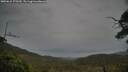 ./images/calvert/fitz-hugh-hecate/20250615/fitz-hugh-hecate20250615_175509M.jpg