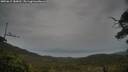 ./images/calvert/fitz-hugh-hecate/20250615/fitz-hugh-hecate20250615_180012M.jpg