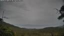 ./images/calvert/fitz-hugh-hecate/20250615/fitz-hugh-hecate20250615_180508M.jpg