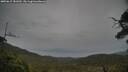 ./images/calvert/fitz-hugh-hecate/20250615/fitz-hugh-hecate20250615_181010M.jpg