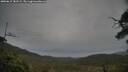 ./images/calvert/fitz-hugh-hecate/20250615/fitz-hugh-hecate20250615_181509M.jpg