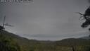./images/calvert/fitz-hugh-hecate/20250615/fitz-hugh-hecate20250615_182508M.jpg