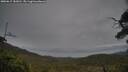 ./images/calvert/fitz-hugh-hecate/20250615/fitz-hugh-hecate20250615_183011M.jpg