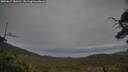 ./images/calvert/fitz-hugh-hecate/20250615/fitz-hugh-hecate20250615_183510M.jpg