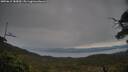 ./images/calvert/fitz-hugh-hecate/20250615/fitz-hugh-hecate20250615_185010M.jpg