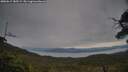 ./images/calvert/fitz-hugh-hecate/20250615/fitz-hugh-hecate20250615_185509M.jpg