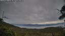 ./images/calvert/fitz-hugh-hecate/20250615/fitz-hugh-hecate20250615_190008M.jpg