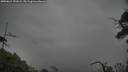 ./images/calvert/fitz-hugh-hecate/20250615/fitz-hugh-hecate20250615_191009M.jpg