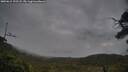 ./images/calvert/fitz-hugh-hecate/20250615/fitz-hugh-hecate20250615_192508M.jpg