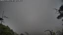 ./images/calvert/fitz-hugh-hecate/20250615/fitz-hugh-hecate20250615_193506M.jpg
